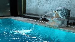 Bayanlara Açık Havuz